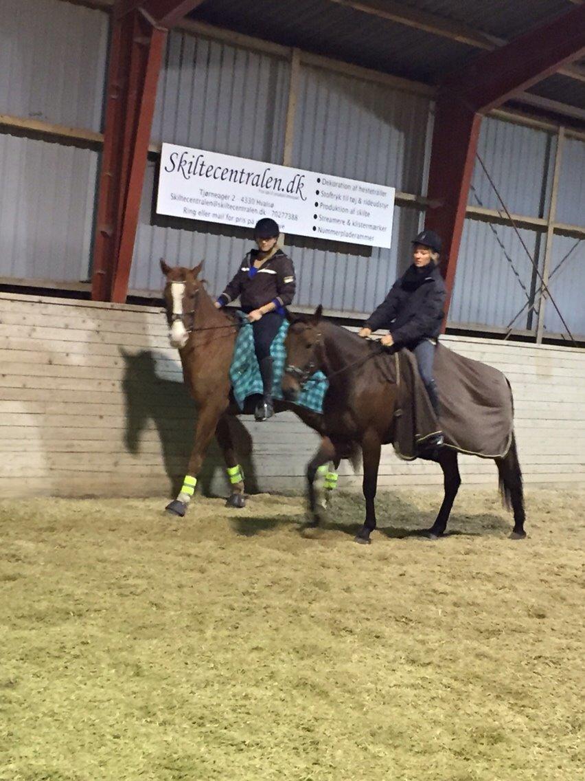 Traver Barbar Hornline (SE) (Deline) billede 40