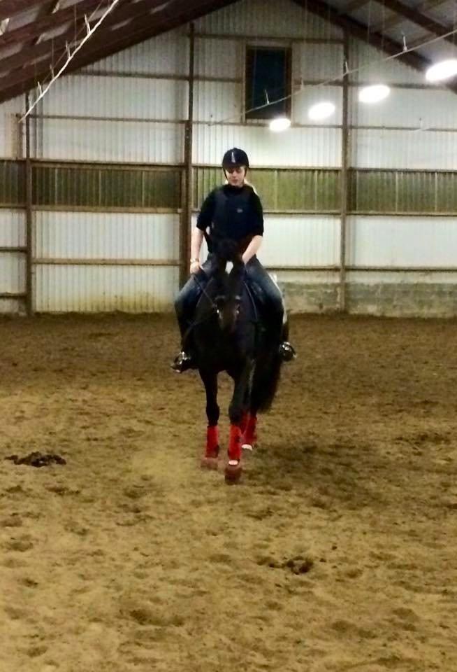 Traver Alica Gold  - Første gang jeg rider hende efter jeg har fået hende hjem :D billede 18