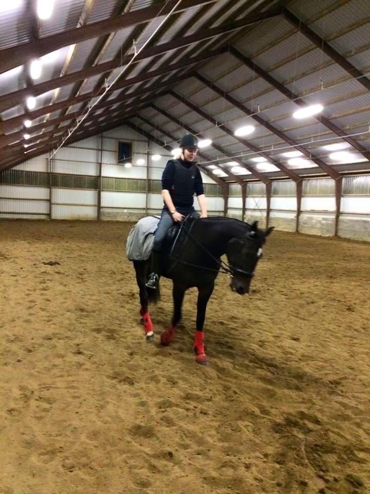 Traver Alica Gold  billede 19