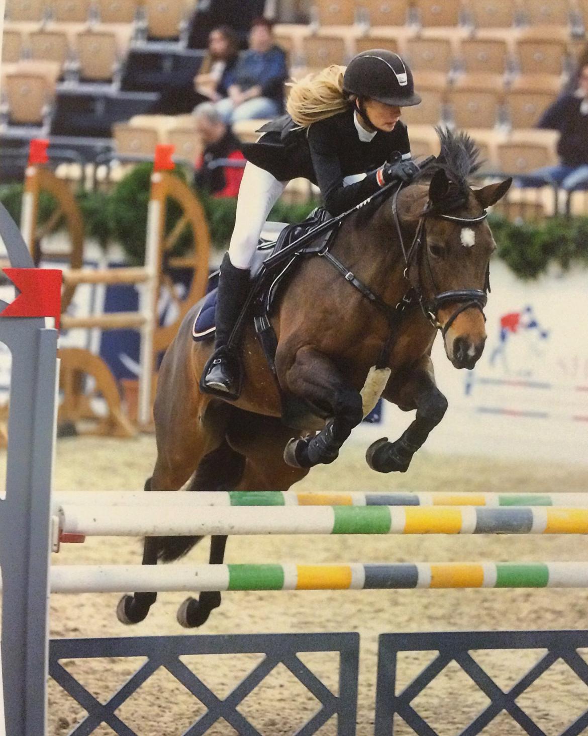 DSP Bæklunds Arquette - Neumünster 2015 billede 2