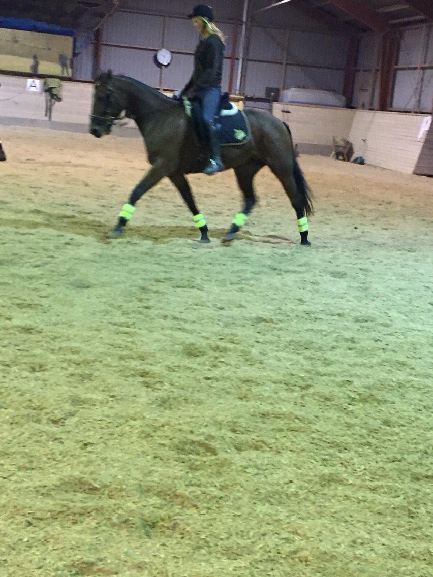 Traver Barbar Hornline (SE) (Deline) billede 44