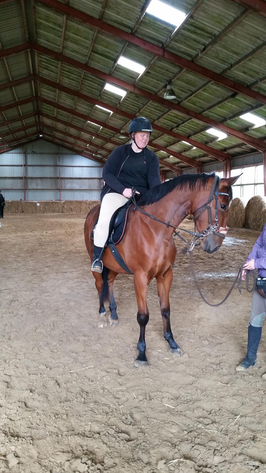 Anden særlig race Sofus billede 18