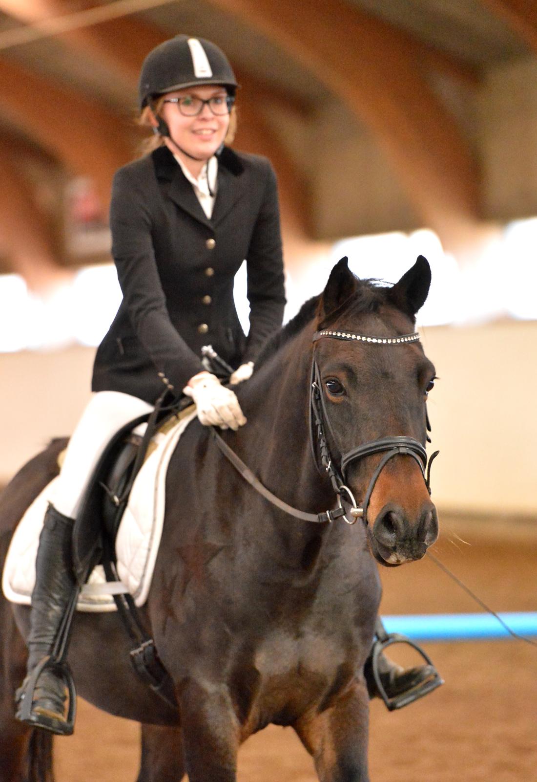 New Forest Skovens Micon  - Oktober 2015 | Vores første stævne sammen ♥. billede 15