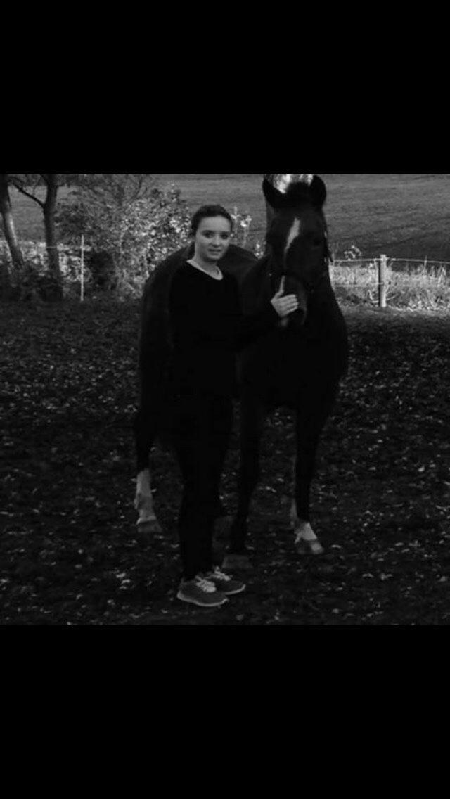 New Forest Spangbo's tonja billede 21