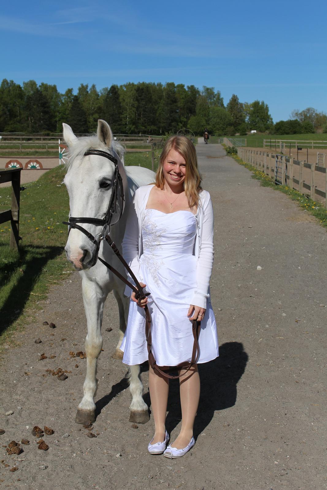 Anden særlig race Hyldens Hearty Fellow - mit ynglingsbillede fra min konfirmation ❤️ billede 1