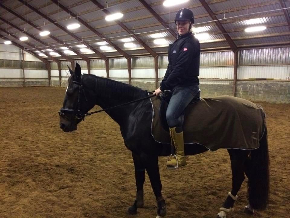 Traver Alica Gold  billede 24