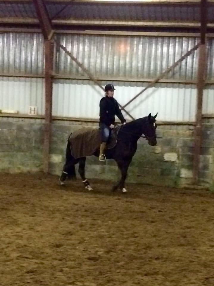 Traver Alica Gold  billede 23