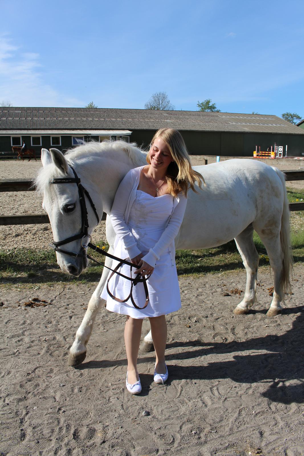 Anden særlig race Hyldens Hearty Fellow - et af billederne fra min konfirmation 🙏🏼 billede 5