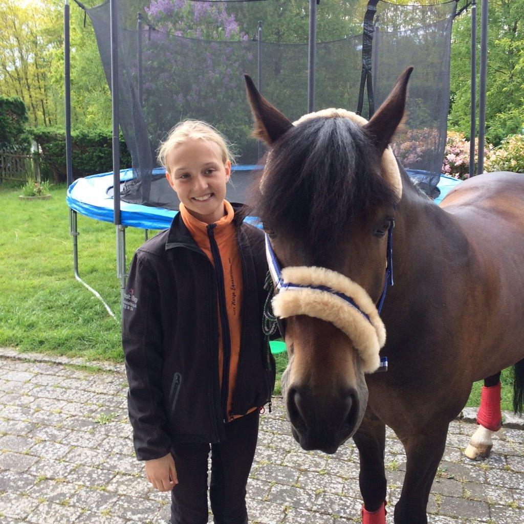 New Forest Rodlease Tango billede 18