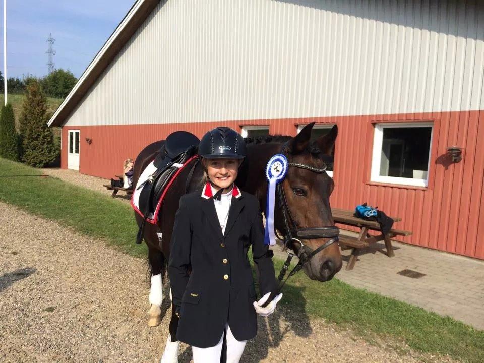 New Forest Rodlease Tango - Stævne fra Tougaard... ".plads i Lb2 til 66% billede 19