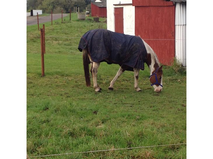 {{currentPhoto.altText}} billede {{currentPhoto.number}}