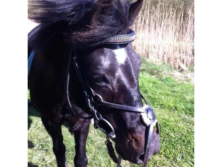 {{currentPhoto.altText}} billede {{currentPhoto.number}}