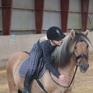 Anden særlig race Choko