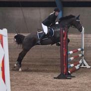 Anden særlig race Impuls