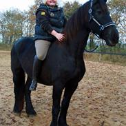 Frieser Janneke Ellemose