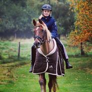 DSP R.I.P Sig's Jeanne D'Arc