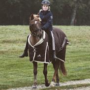 DSP R.I.P Sig's Jeanne D'Arc