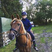 DSP R.I.P Sig's Jeanne D'Arc