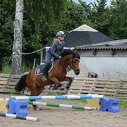 DSP Stald Poppels No Hippo Naomi