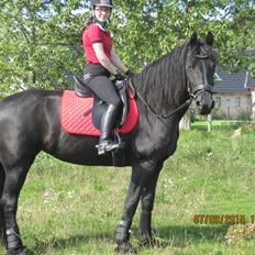 Frieser Tatoo Terplinggaard