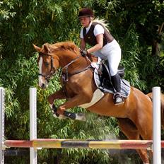 Anden særlig race Suspicious Firefly Flip