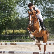 Anden særlig race Suspicious Firefly Flip