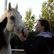 Anden særlig race William S [Kun et minde]