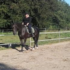 Oldenborg Pandora Noir