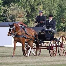 Frederiksborg Seedorff´s Mulle