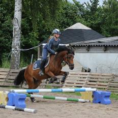 DSP Stald Poppels No Hippo Naomi