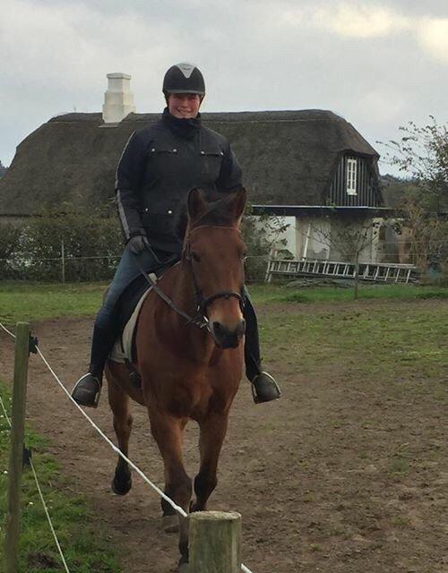 Anden særlig race Sebastian billede 7