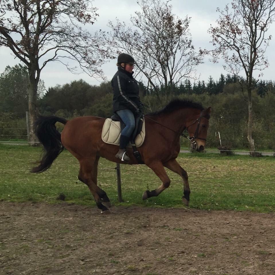 Anden særlig race Sebastian - Billede fra min første tur, efter han kom hjem.. billede 5