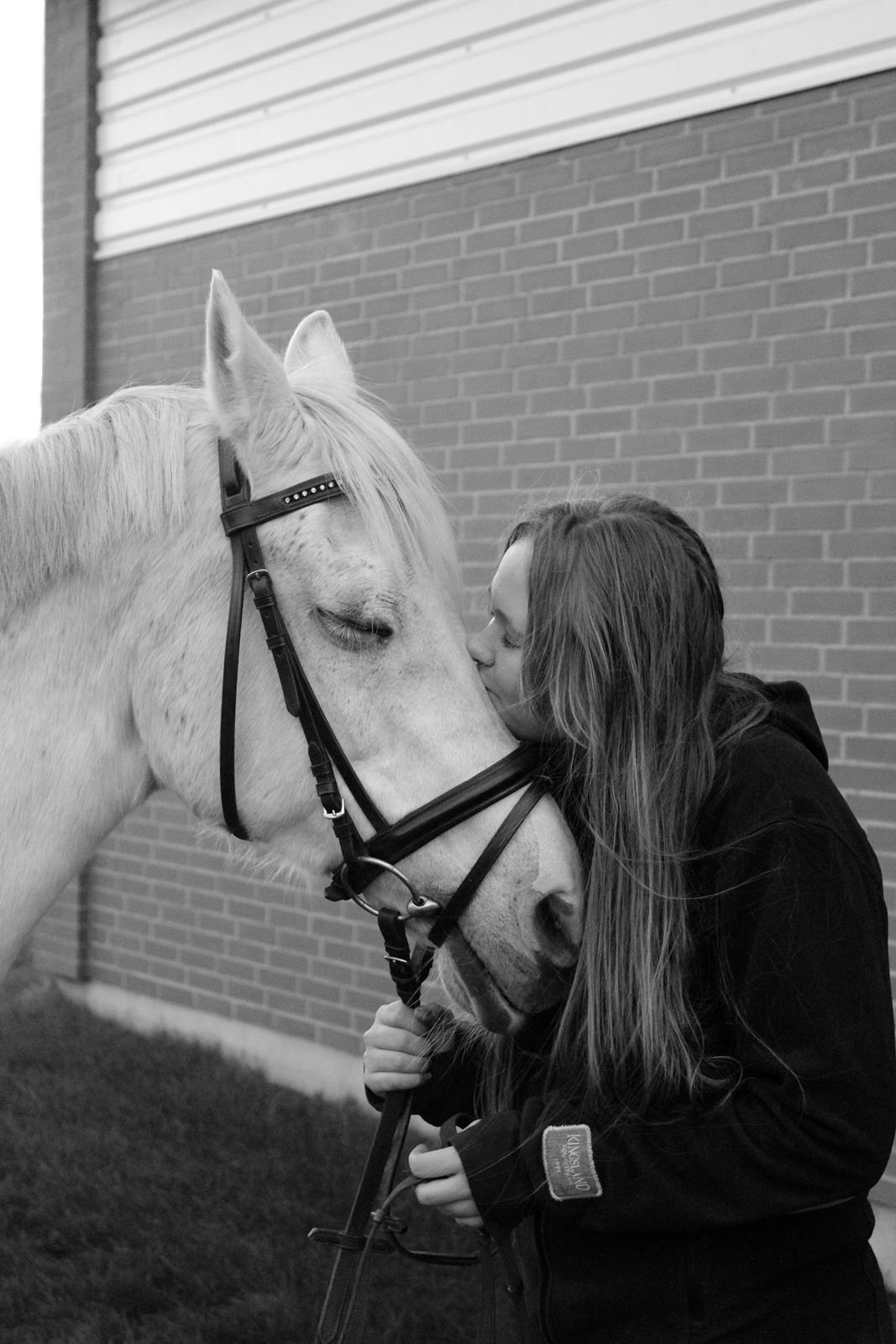 Anden særlig race Meritza - PriNSeSseN<3 - 06/12-2014 Dagen før aflivningen..  billede 1