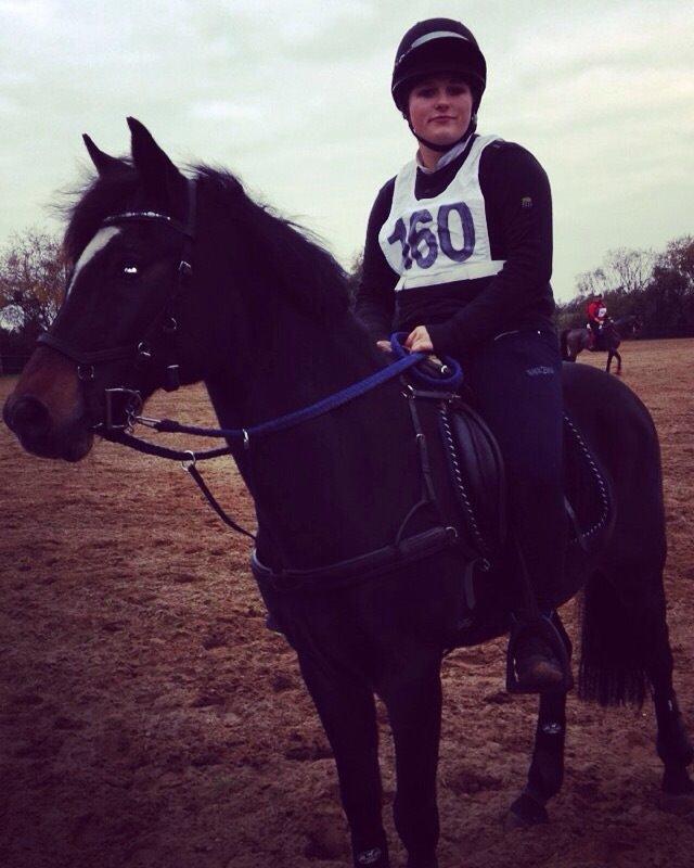 Tysk Sportspony Merlin billede 10