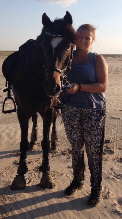 Tysk Sportspony Merlin billede 15