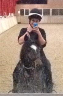 Tysk Sportspony Merlin billede 17