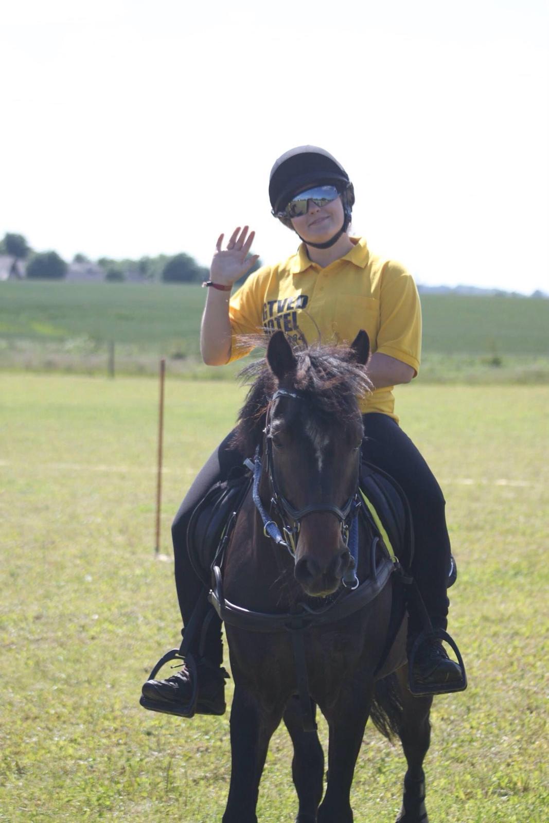 Tysk Sportspony Merlin billede 13