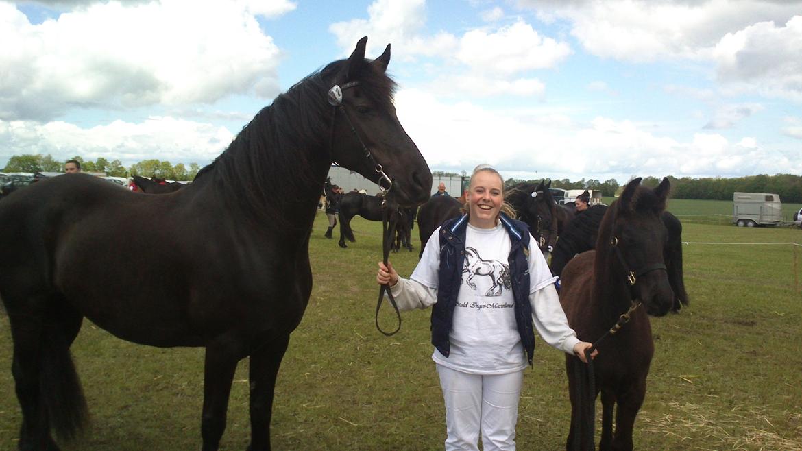 Frieser Wilma von Inger-Marienlund - Wilma var med til Gl Estrup dyrskue sammen med hendes mor, Mazandra.. billede 16