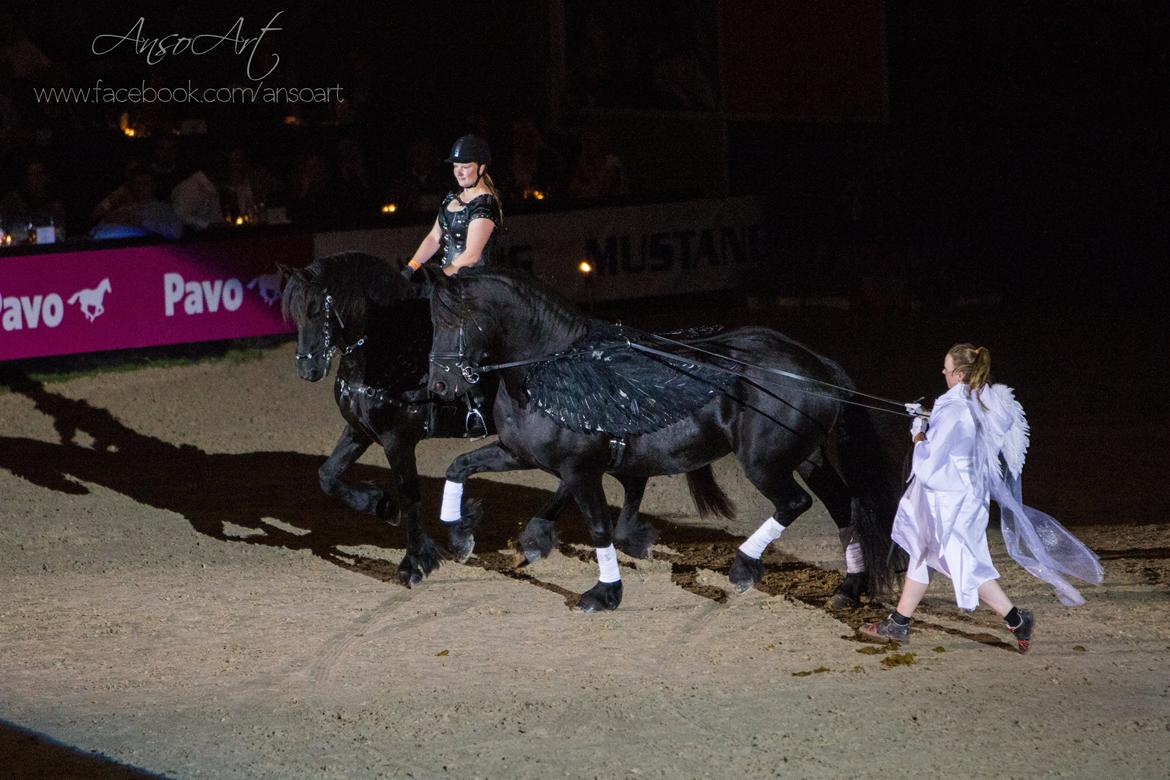 Frieser Helena von Inger-Marienlund - Helena i liner ved galla-show til JBK horse shows 2015 billede 5