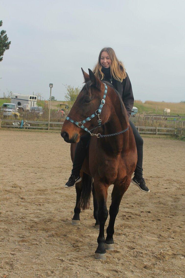 Traver Lady Barca billede 16