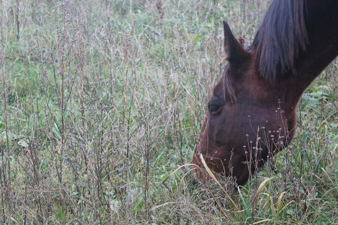 Traver Lady Barca billede 19