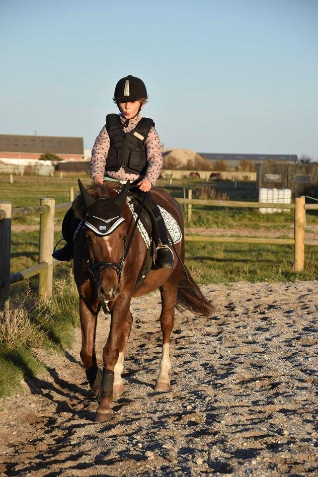 New Forest Freja - Igen. Så søde de er! billede 20