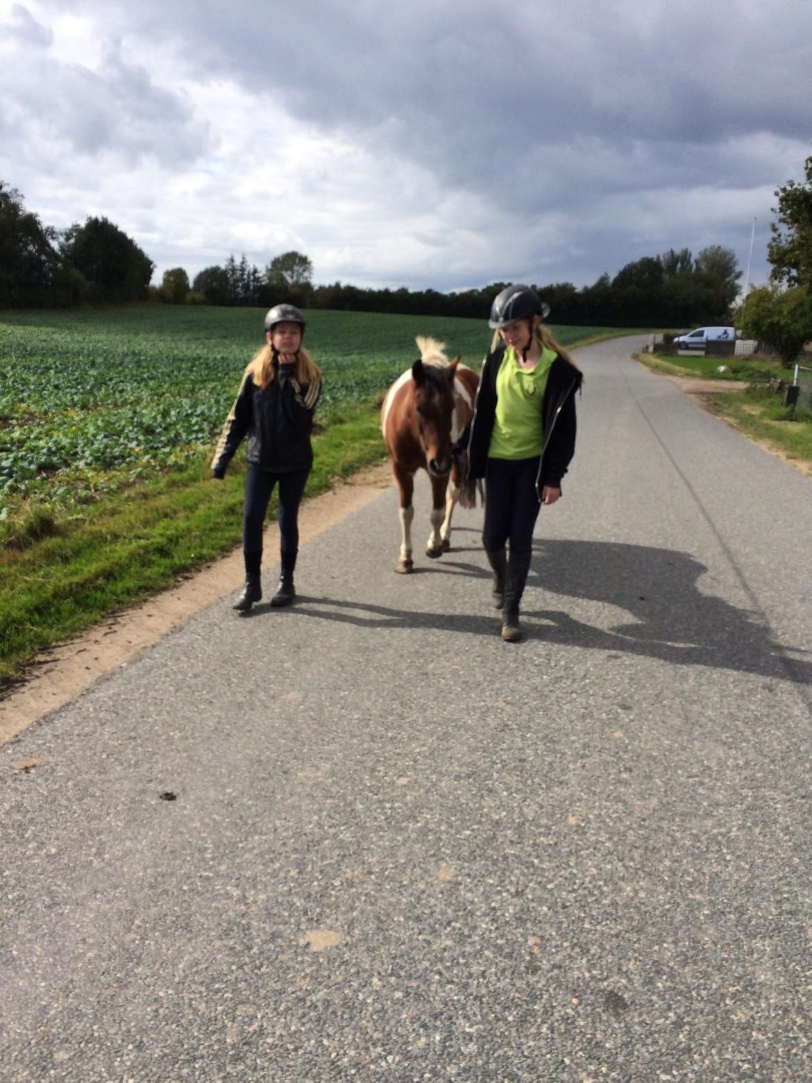 Anden særlig race Sabrine/sabi - Glemte hendes grime godt hun er sådan en dygtig pony billede 8