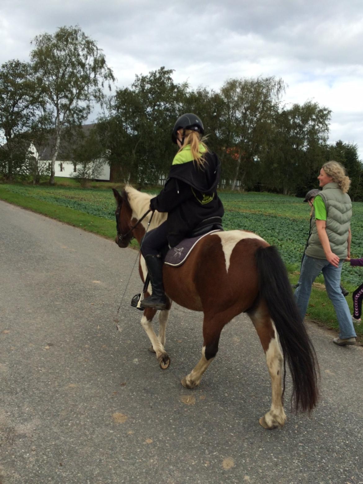 Anden særlig race Sabrine/sabi billede 14