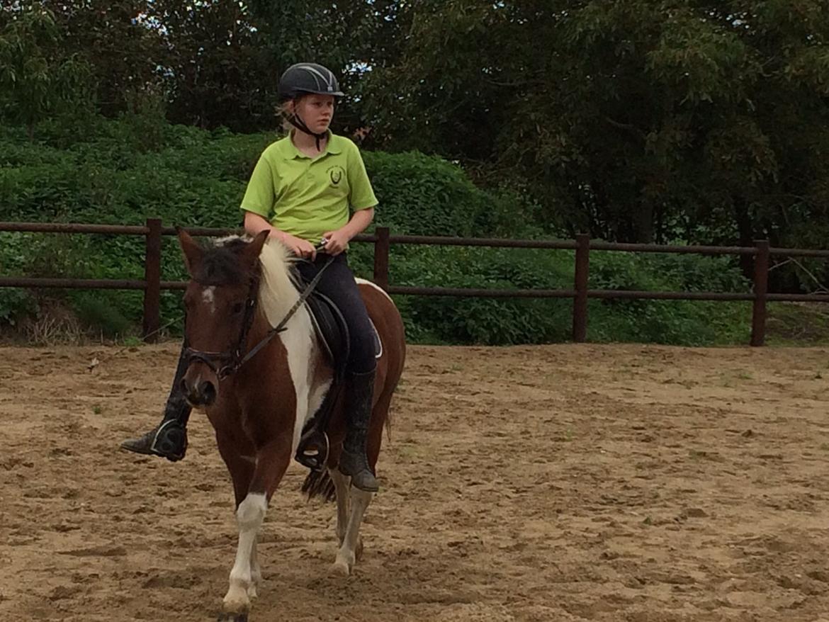 Anden særlig race Sabrine/sabi - Lidt ridning billede 15