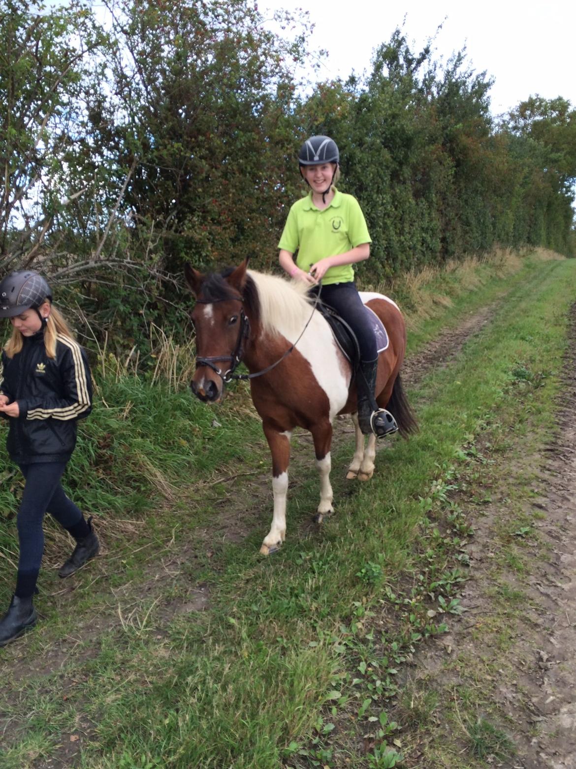 Anden særlig race Sabrine/sabi billede 16