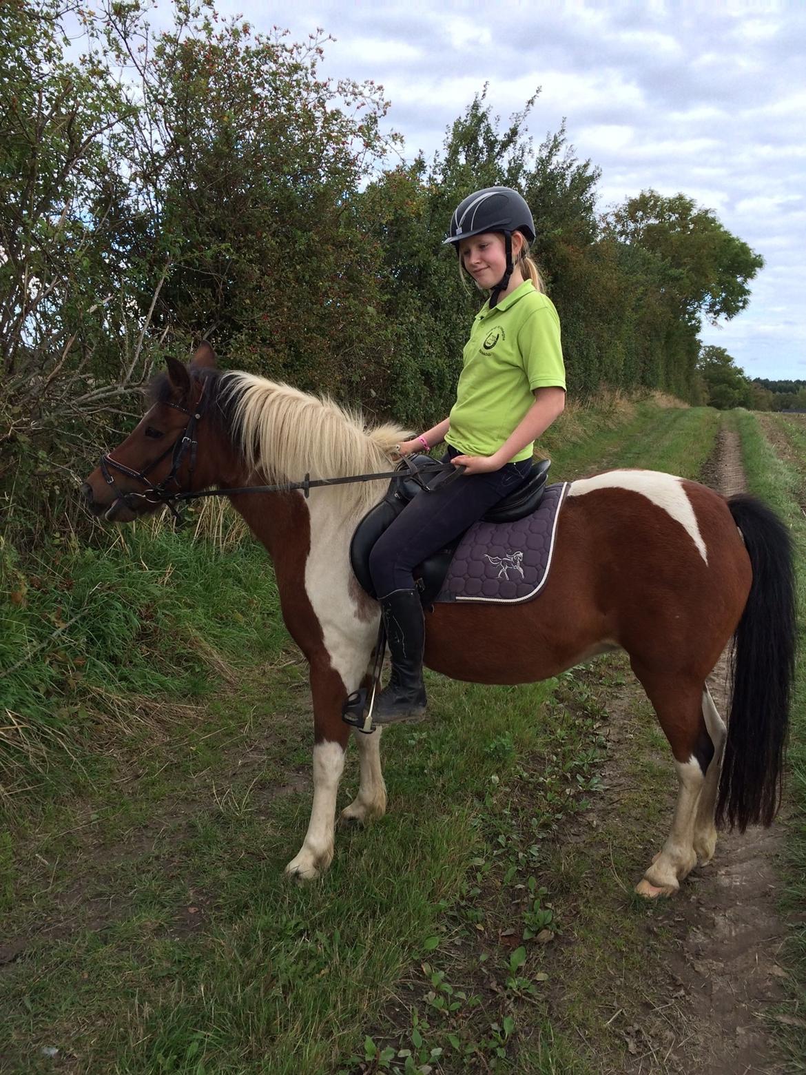 Anden særlig race Sabrine/sabi - Skovtur billede 17
