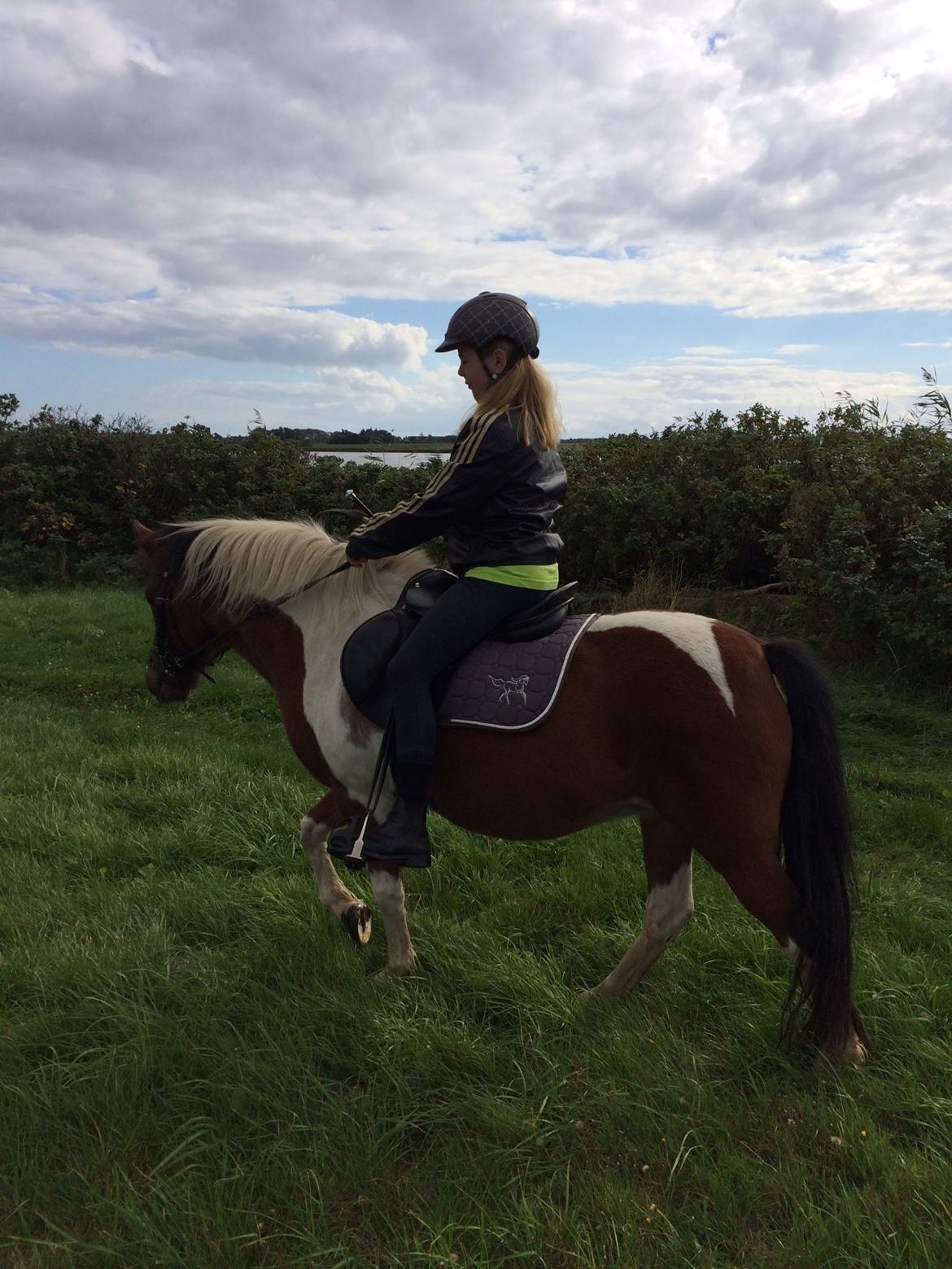 Anden særlig race Sabrine/sabi - Tak for at i gad besøge sabis profil billede 19