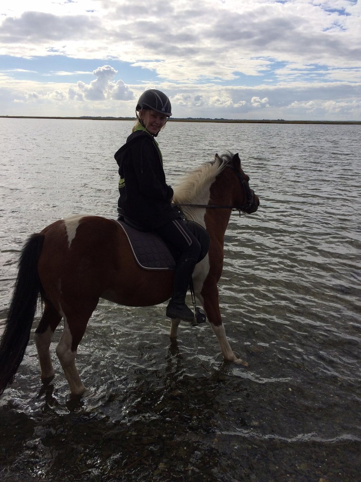 Anden særlig race Sabrine/sabi - Vand billede 18