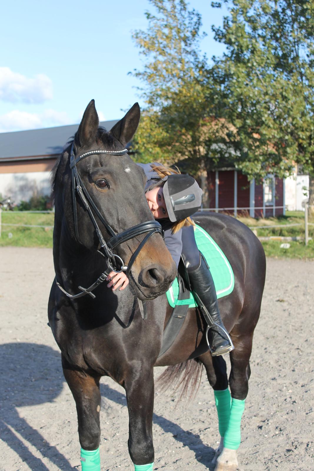 Anden særlig race Hermione billede 20